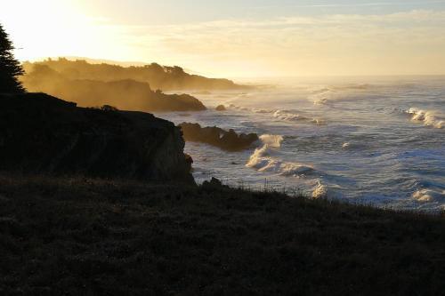Pacific Pearl