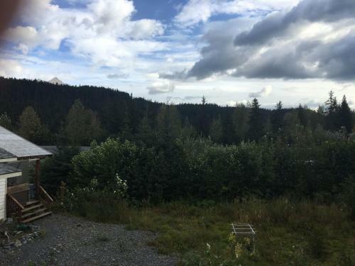 Glacier Creek Cabins