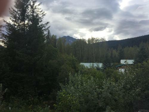 Glacier Creek Cabins
