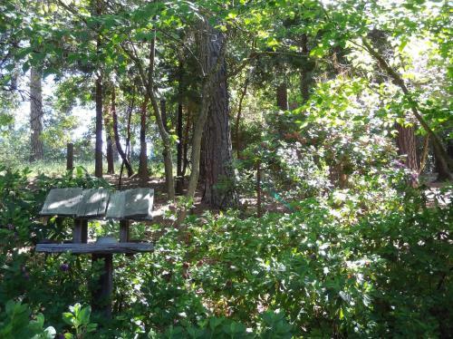 Bed & Breakfast Ponderosa Ridge A B & B