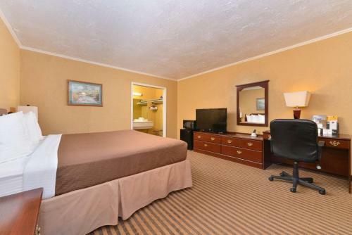 Hotel Executive Plus Inn And Suites