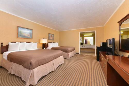 Hotel Executive Plus Inn And Suites