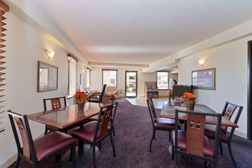 Hotel Executive Plus Inn And Suites
