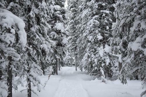 Backwoods Lodge