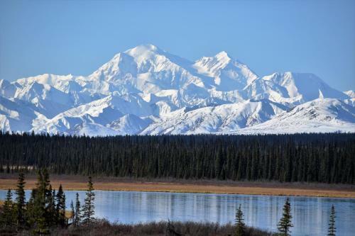Backwoods Lodge