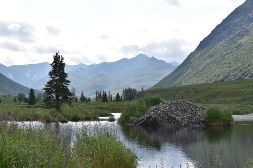 Backwoods Lodge