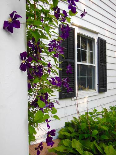 Bed & Breakfast Millbrook Country House