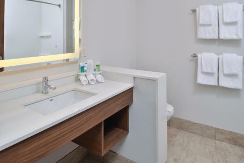 Hotel Holiday Inn Express & Suites - Brighton South - Us 23