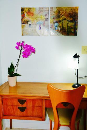 Hotel Sea Turtle Inn