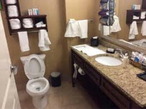 Hotel Hampton Inn & Suites Tifton