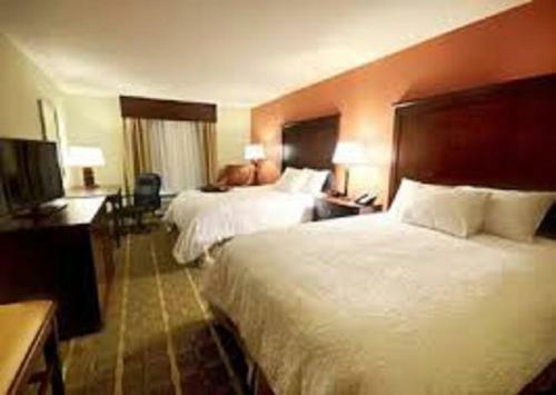 Hotel Hampton Inn & Suites Tifton