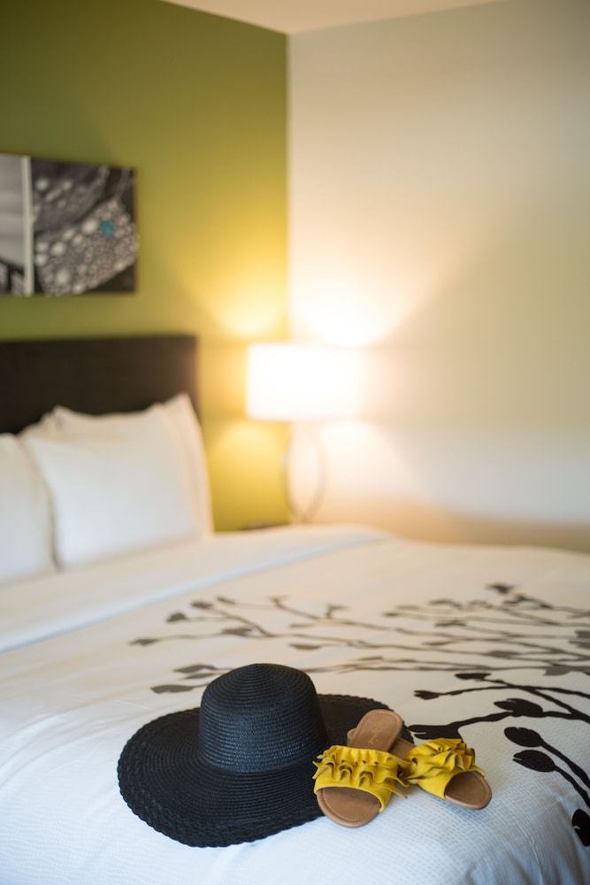 Hotel Sleep Inn Sarasota I-75