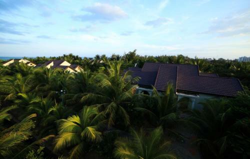 Hotel Gold Rooster Resort