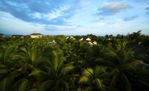 Hotel Gold Rooster Resort
