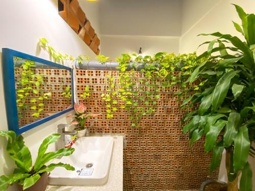 Homestay In Tay Ninh