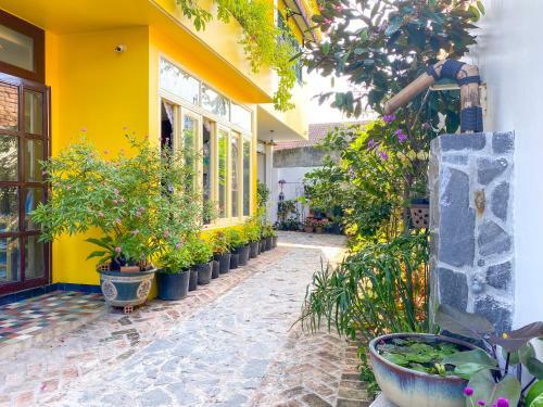 Homestay In Tay Ninh