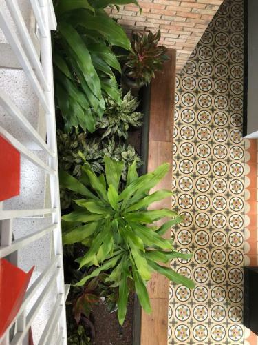 Homestay In Tay Ninh