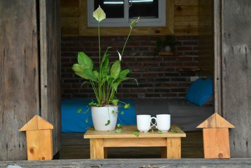 Trang An Precious Homestay