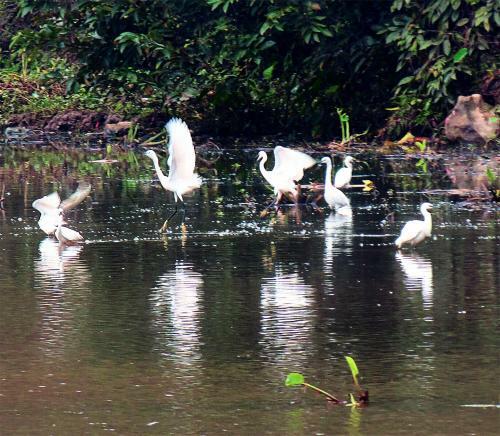 Ninh Binh Panorama Homestay