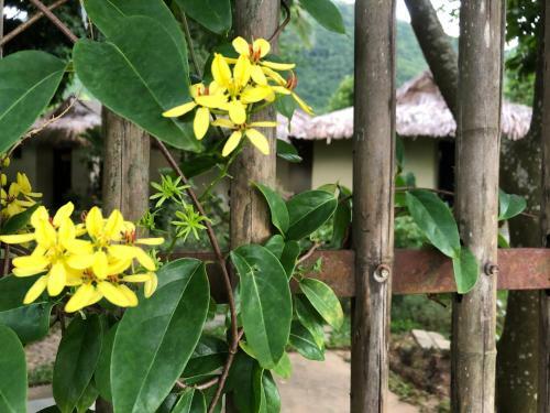 Mai Chau Villas