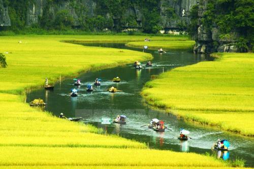 Ninh Binh Brother's Homestay