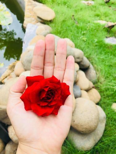 Ninh Binh Brother's Homestay