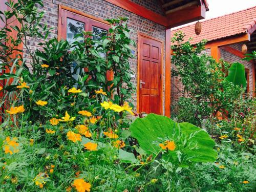 Tam Coc Friendly Homestay