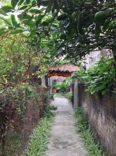 Tam Coc Eco House
