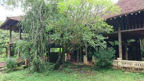 Hostal Vuonthuguesthousegarden