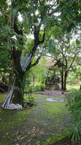 Hostal Vuonthuguesthousegarden