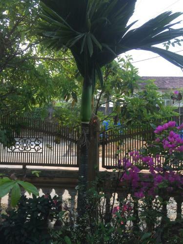 Bed & Breakfast Nh� Ngh? Ph??ng ?�ng