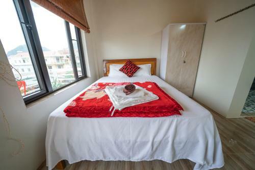 Phong Nha Homestay