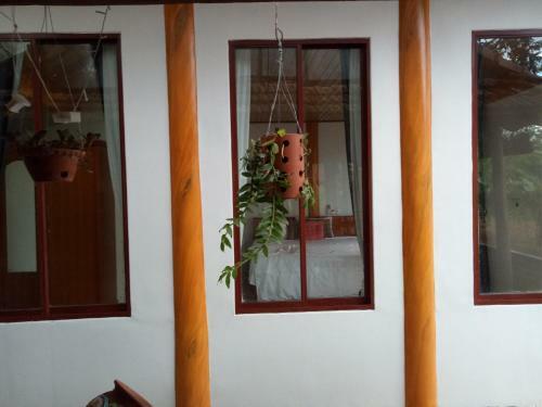 Lodge Phong Nha Rice Field Homestay