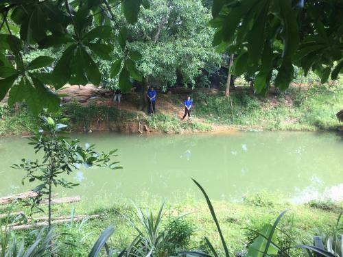Lodge Phong Nha Rice Field Homestay
