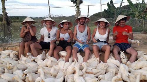 Lodge Phong Nha Rice Field Homestay