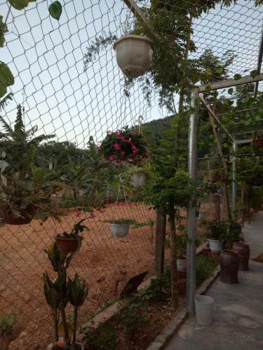 Lodge Phong Nha Rice Field Homestay