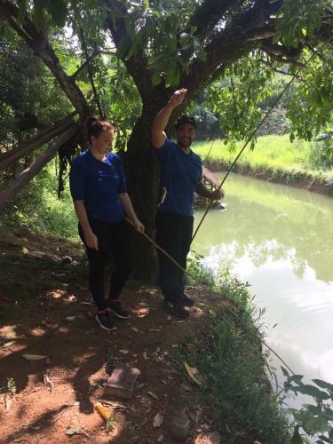 Lodge Phong Nha Rice Field Homestay