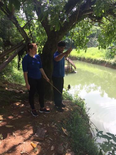 Lodge Phong Nha Rice Field Homestay