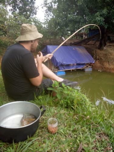 Lodge Phong Nha Rice Field Homestay
