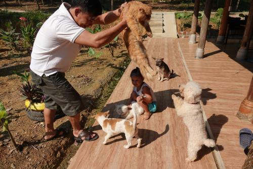 Nguyen Shack - Phong Nha Glamping