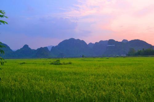 Sy's Homestay