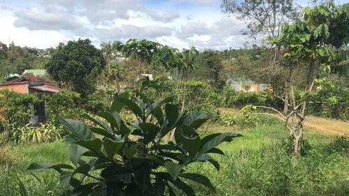 Hostal Bao Loc Homestay