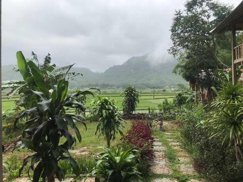 Little Mai Chau Home Stay