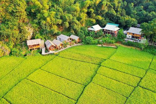 Little Mai Chau Home Stay
