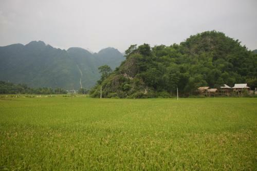 Little Mai Chau Home Stay