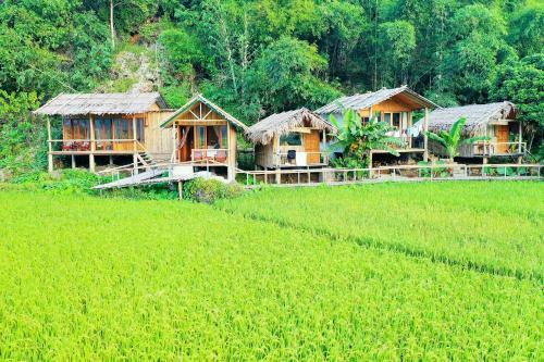 Little Mai Chau Home Stay