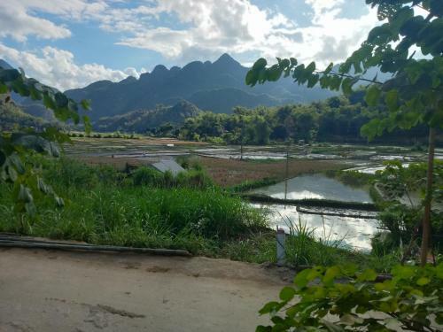 Truong Huy Homestay