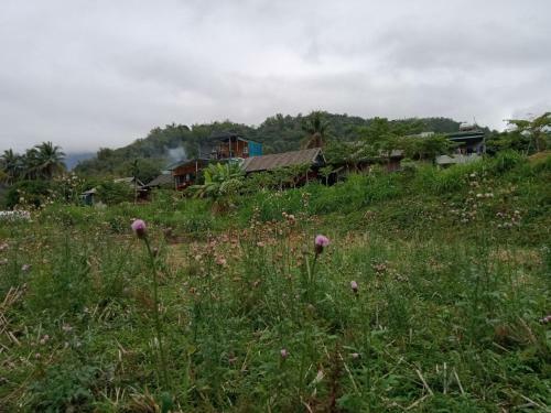 Truong Huy Homestay