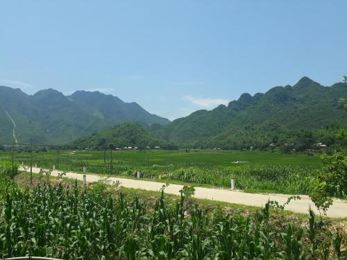 Truong Huy Homestay