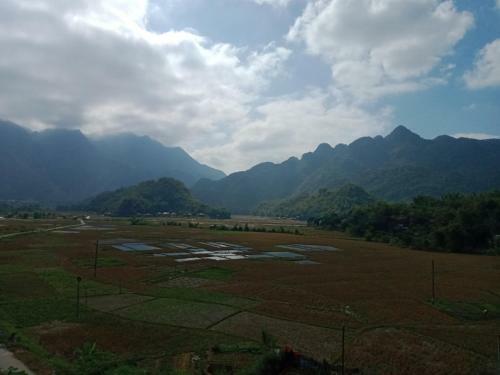 Truong Huy Homestay